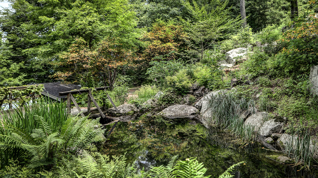 5-8_Springhouse_Road-087-THR
