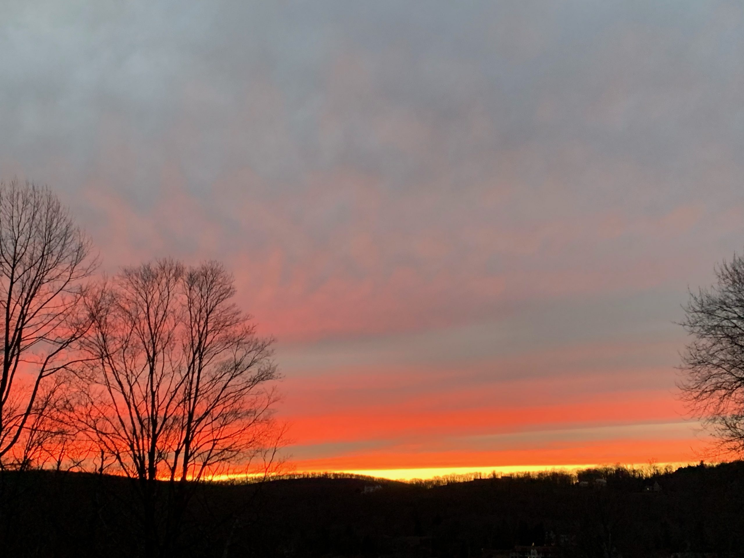 IMG_5481